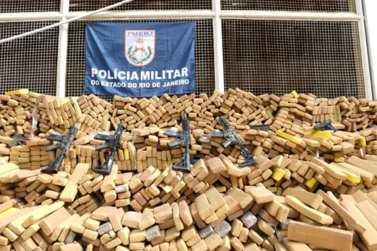 Apreensao Historica De Drogas