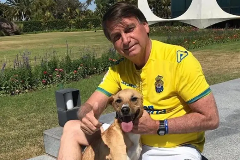 A vigilância do ex-presidente Jair Bolsonaro, que cumpre prisão domiciliar em um condomínio no Jardim Botânico, em Brasília, tornou-se um desafio físico para os agentes da PMDF. Segundo fontes policiais, dois cães sem raça definida — os populares vira-latas "caramelo" — circulam soltos pela propriedade e já morderam dois policiais em ocasiões distintas.