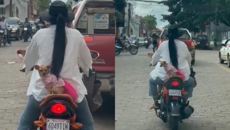 Cachorrinha de saia é flagrada na garupa de moto e cena viraliza