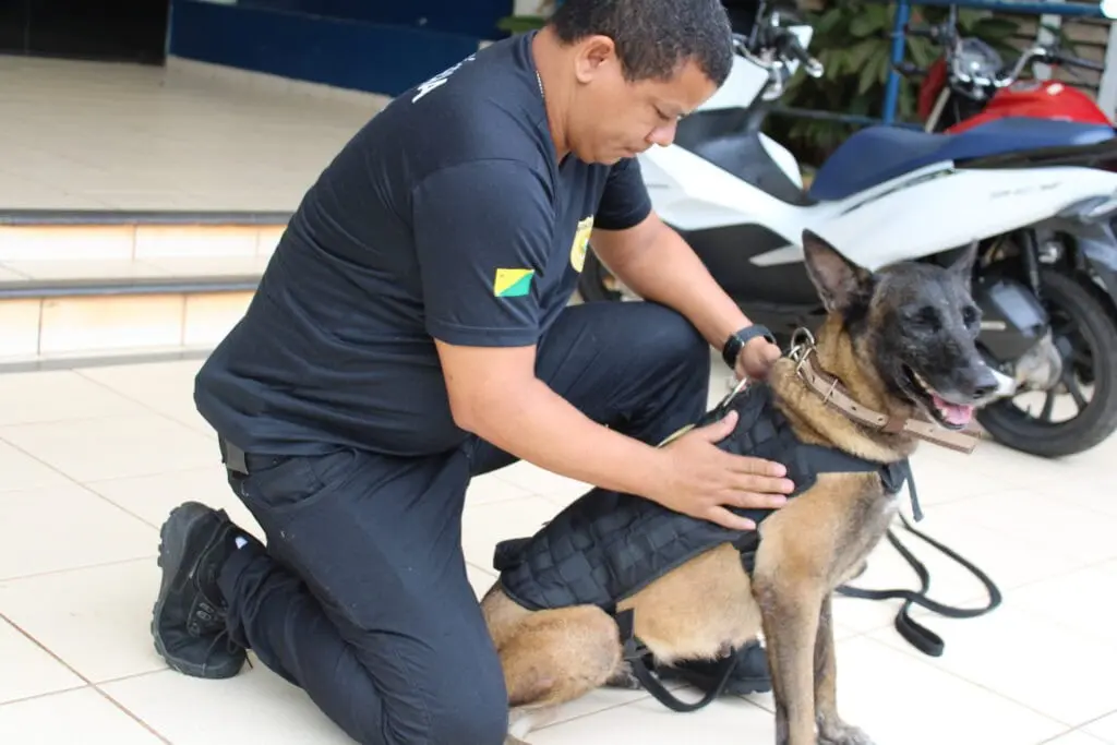 Estado renova contrato de R$ 60 mil para manutenção de canil da Polícia Civil