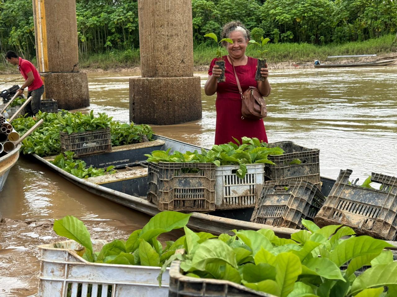 Cruzeiro do Sul distribui mudas de café do programa sustentável