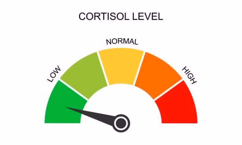 Se você passou cinco minutos no TikTok recentemente, certamente viu uma personagem de anime dançando ao som de uma melodia relaxante enquanto um medidor aponta para o nível "baixo".