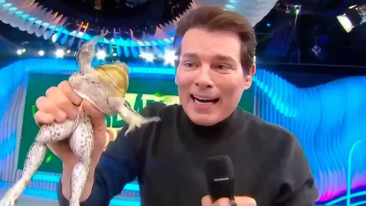 Ministério Público investiga SBT e Celso Portiolli por caso com rã