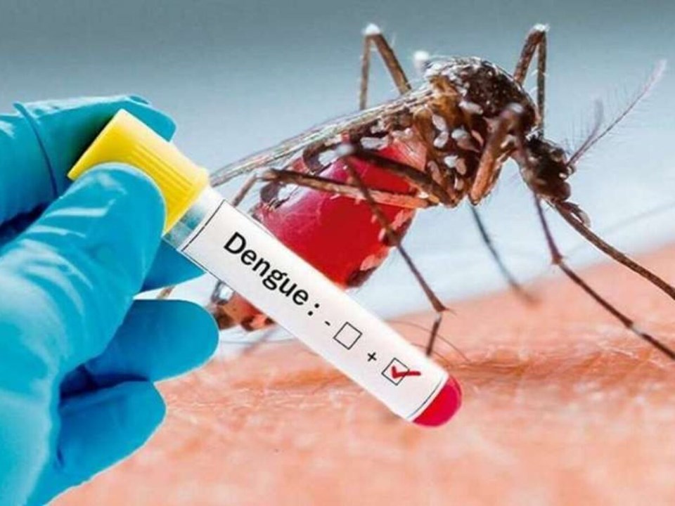 No entanto, até o momento foram registrados 1.171 casos prováveis de dengue, sendo 689 confirmados