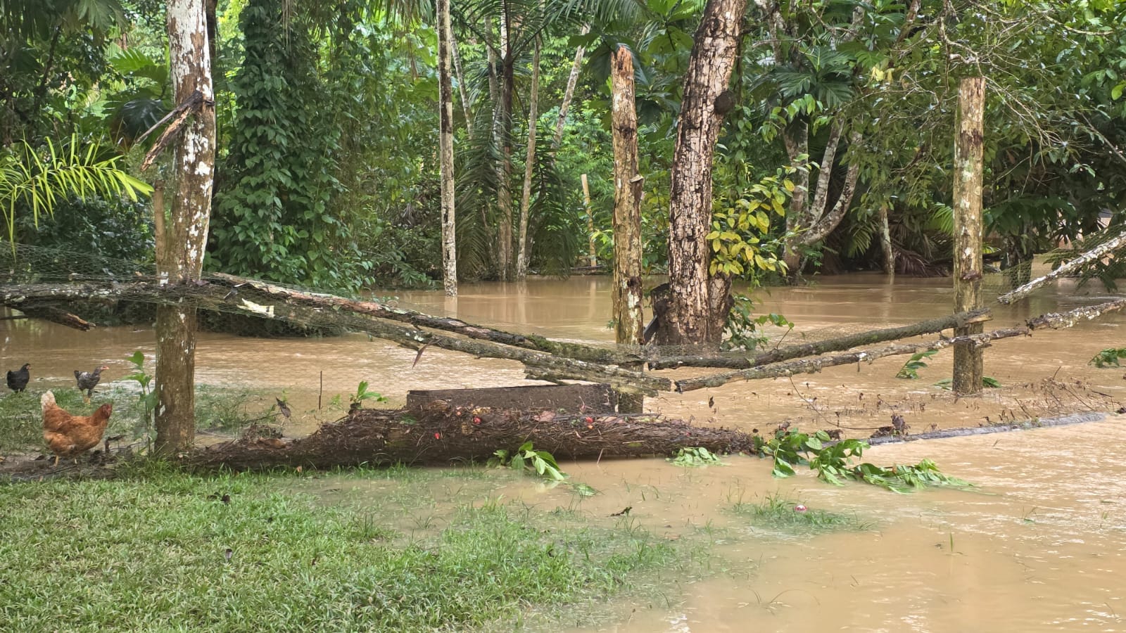 Maior enchente da história atinge 18 aldeias na Terra Indígena Rio Gregório