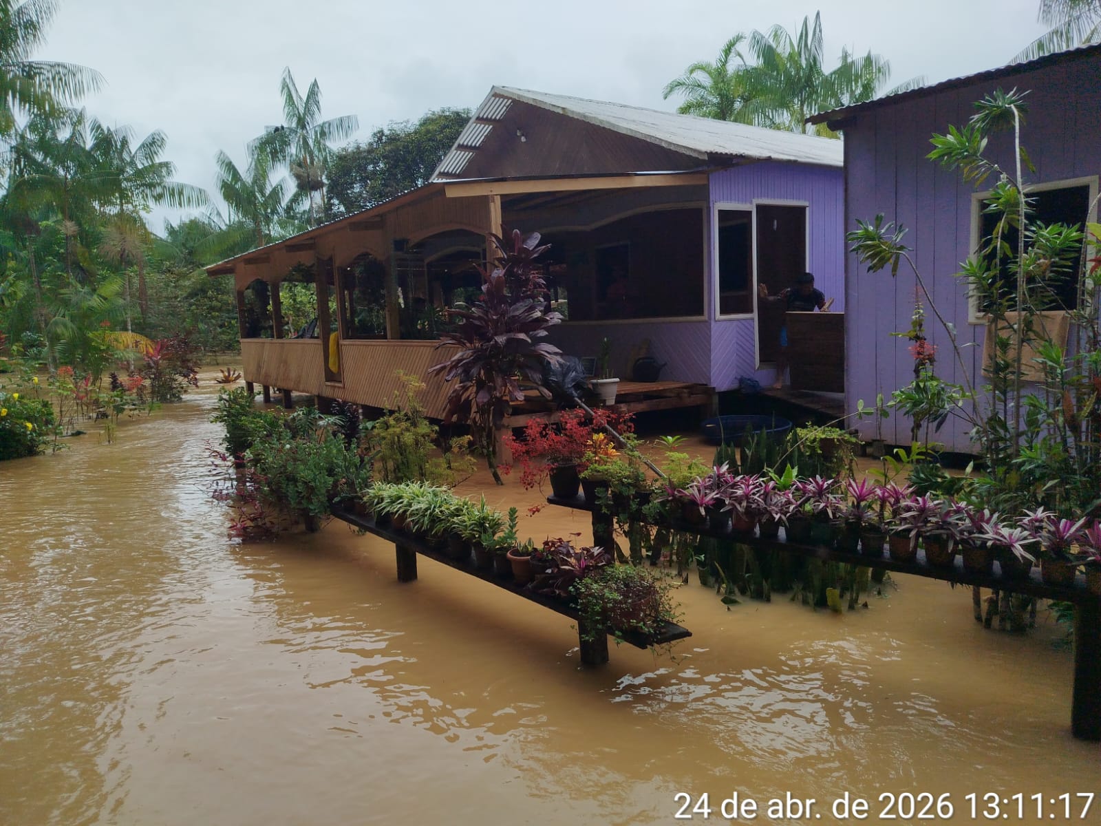 Maior enchente da história atinge 18 aldeias na Terra Indígena Rio Gregório