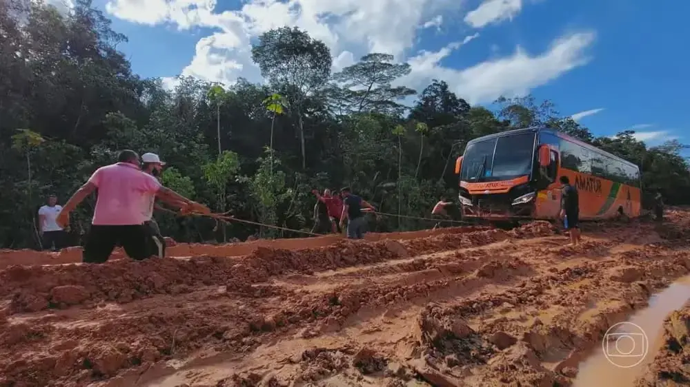 Entidade pede anulação de editais e paralisação de obras na BR-319
