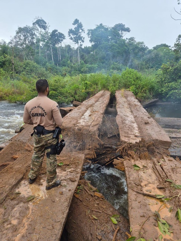PF e Ibama desarticulam base de garimpo ilegal em Rondônia