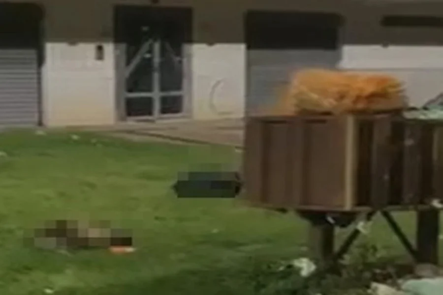 A Delegacia de Repressão aos Crimes Contra os Animais (DRCA), com apoio da 14ª e 20ª DP, localizou nesta terça-feira (31/03) o responsável pelo descarte de um bode e uma cabra mutilados no Gama. Os restos mortais, encontrados em sacos de lixo no último domingo (29/03), estavam sem cabeça e sem as patas.