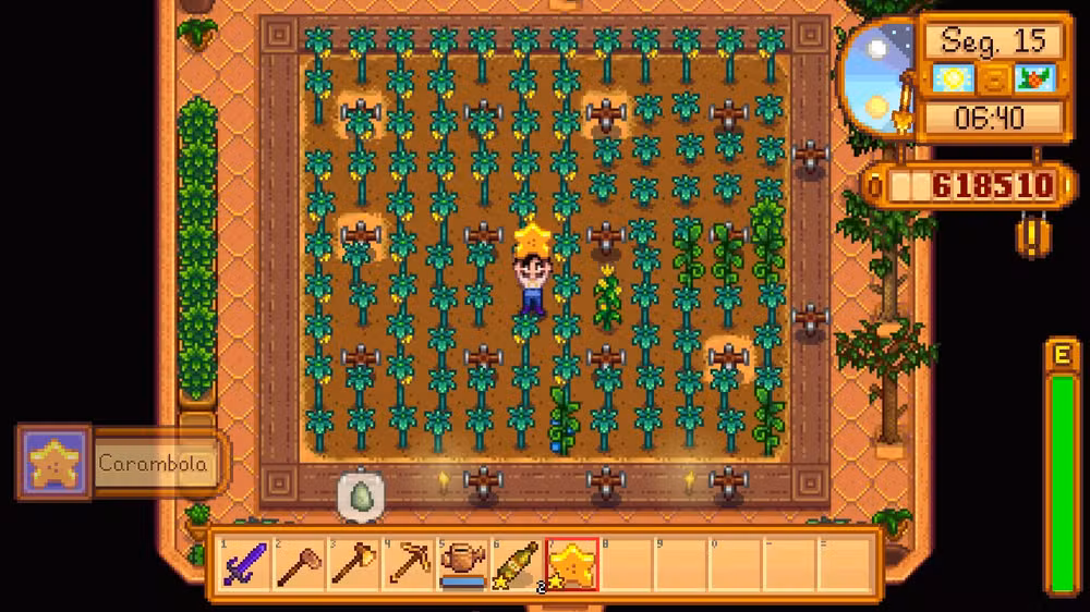 Estufa no Stardew Valley: veja como cuidar e manter