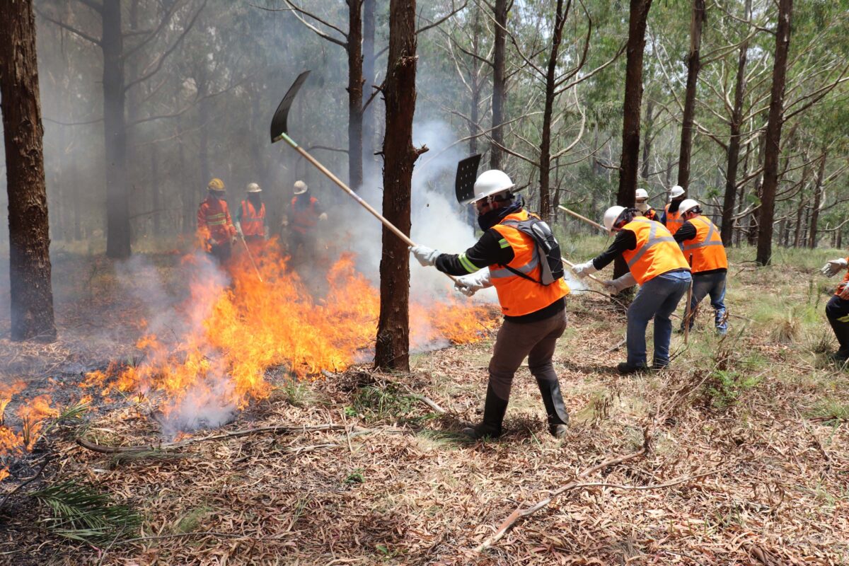 Acre abre inscrições para contratar brigadistas contra incêndios florestais