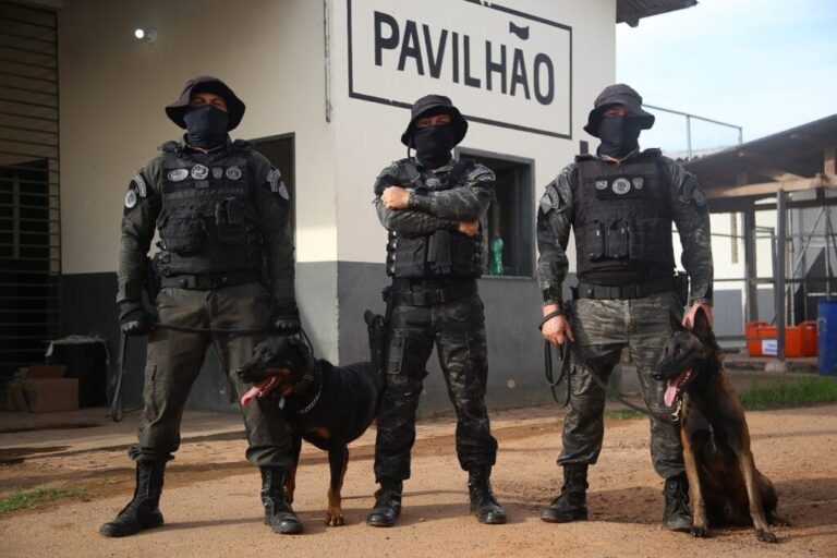 A Sejusp abriu um novo processo seletivo voltado à formação de instrutores, docentes e monitores