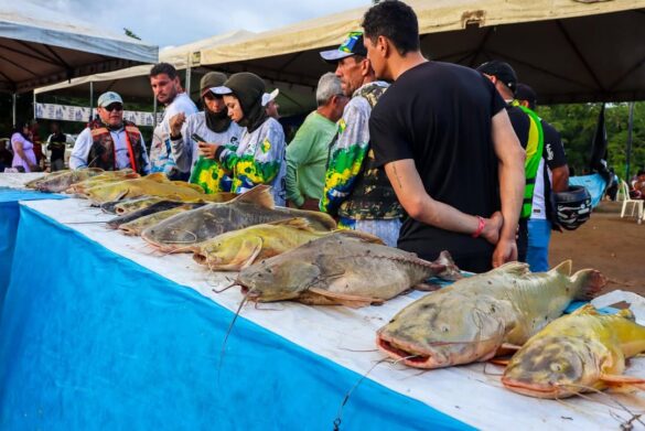 pesca (3) Garota Country 2026: conheça as 8 candidatas que disputam o título