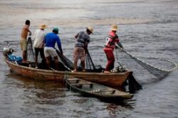 Nova regra federal exige atualização mensal de pescadores em Sena Madureira