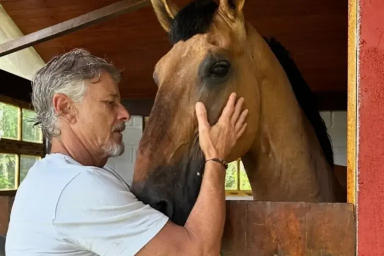 Destaque recente como o vilão Jacques em Dona de Mim, Marcello Novaes decidiu que o melhor papel de sua vida agora é o de "homem do campo". Aos 63 anos, o ator trocou o agito da Barra da Tijuca por uma propriedade onde o vizinho mais próximo está a quase um quilômetro de distância.