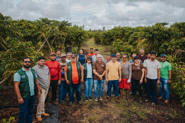 Prefeitura de Cruzeiro do Sul apoia colheita semimecanizada