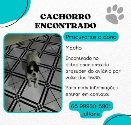 procura