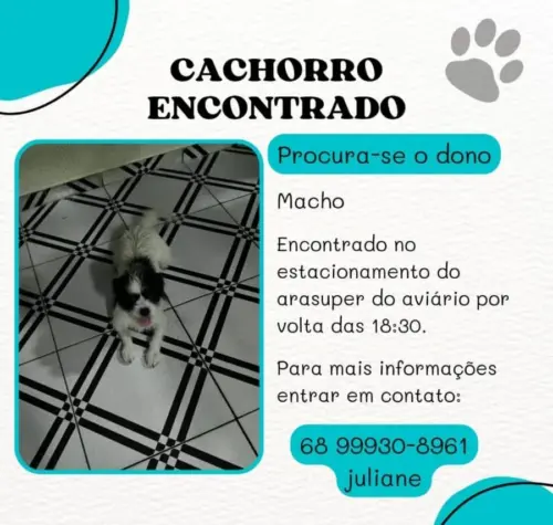 procura