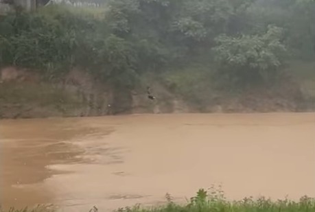 Pulando Ponte Sibéria