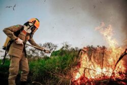 Estado mantém contrato para equipamentos de combate a incêndios florestais