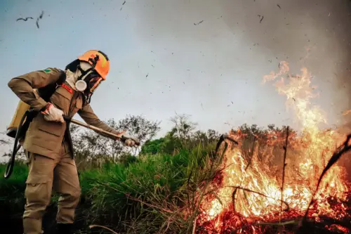 Acre registra 125 focos de queimadas em um único dia e fica em 2º no país