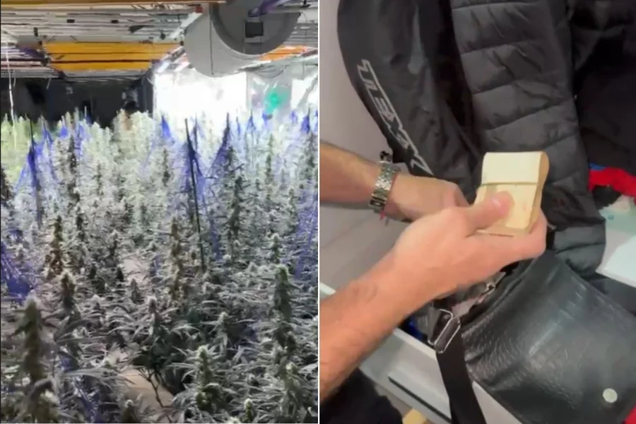 A Polícia Federal, em conjunto com a Polícia Nacional Espanhola, conseguiu identificar e desarticular os responsáveis por um esquema de tráfico internacional de drogas que tinha como destino a cidade de Barcelona.