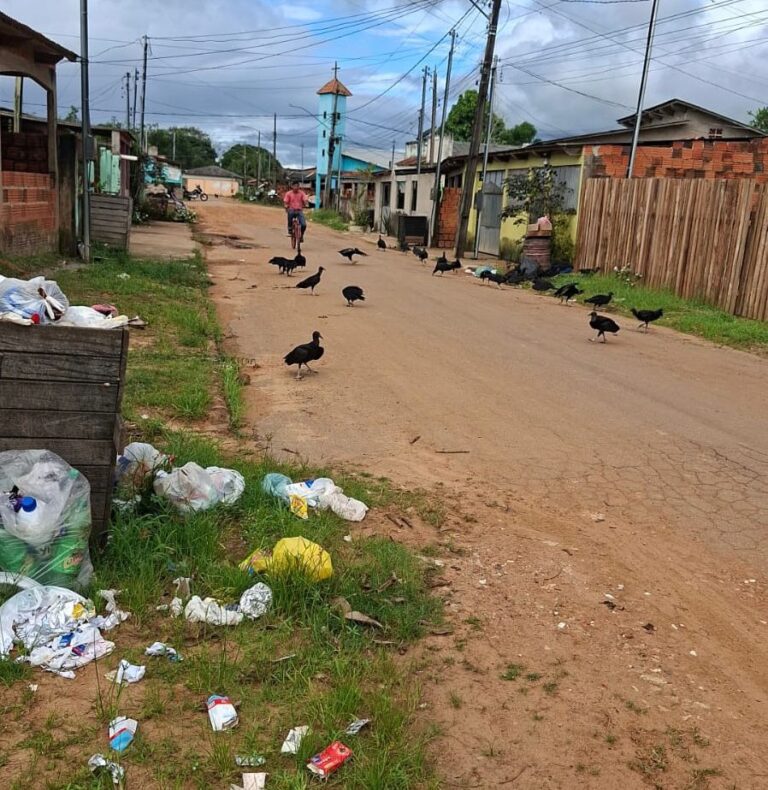 Morador denuncia acúmulo de lixo e presença de urubus em rua de Sena Madureira