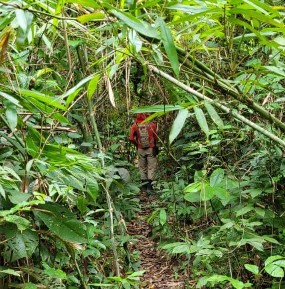 Trabalhadores Desaparecem