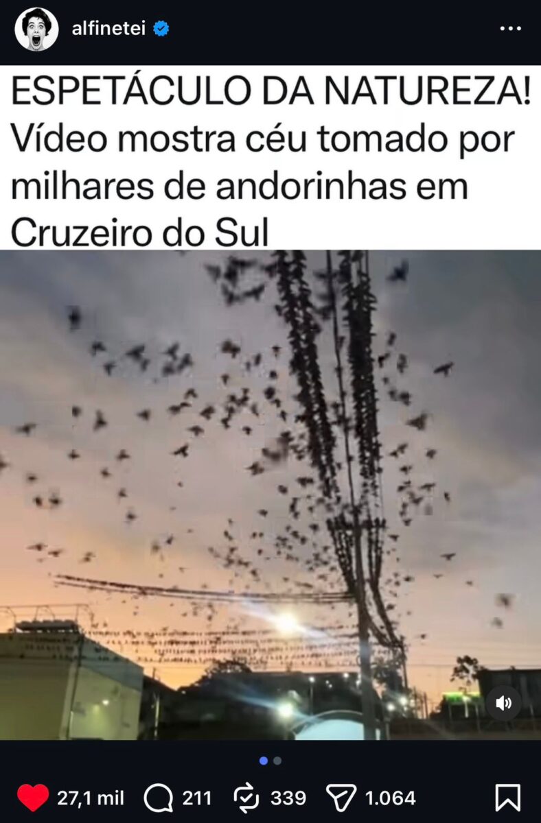 Vídeo de andorinhas em entardecer de Cruzeiro do Sul viraliza nas redes sociais