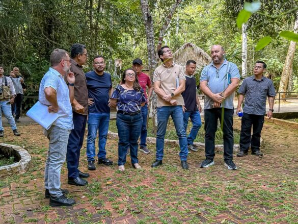 Novo mirante no Parque Chico Mendes promete vista inédita da floresta