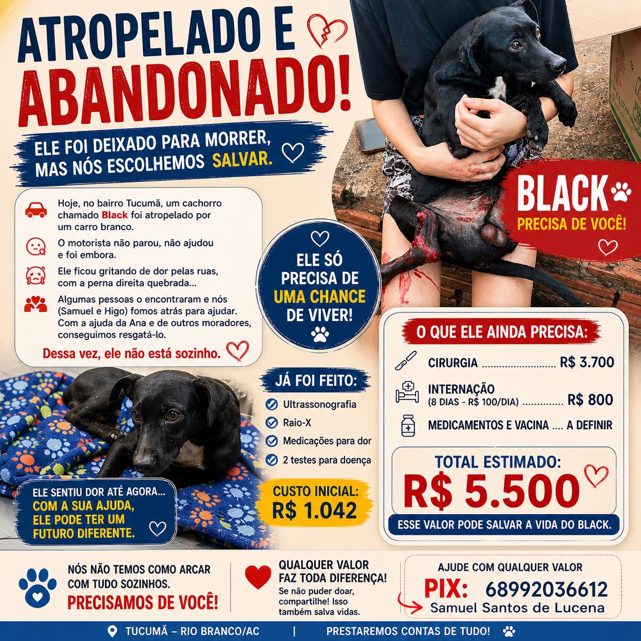 Moradores de Rio Branco se unem para salvar cão que teve perna quebrada em atropelamento