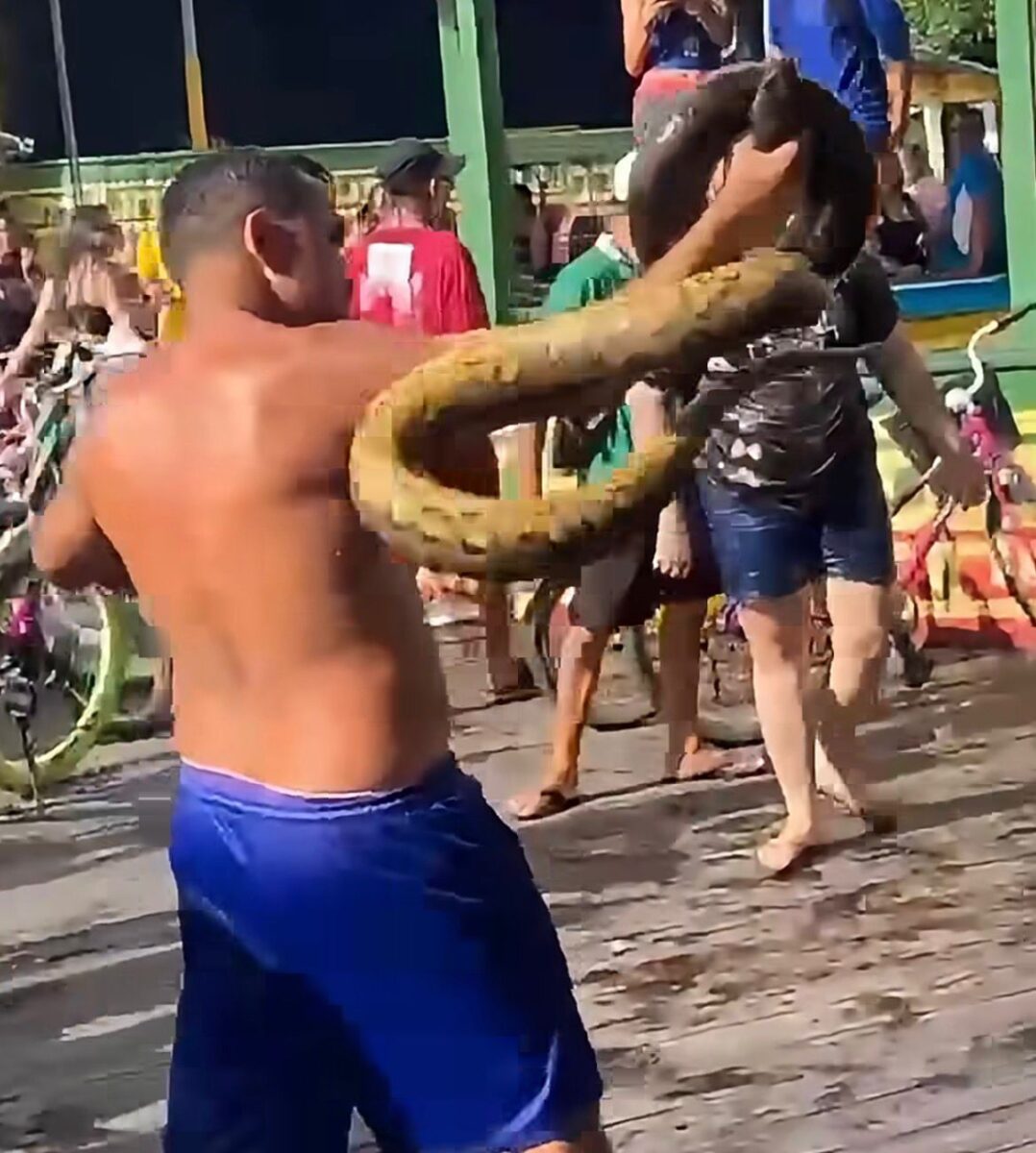 Banhista captura sucuri com as próprias mãos em área de rio