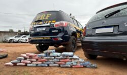 PRF apreende 34 kg de ‘skunk’ escondidos em portas de carro na BR-364
