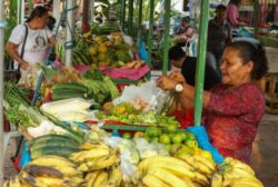 Cidade do Acre realiza chamada pública para fortalecimento da agricultura familiar