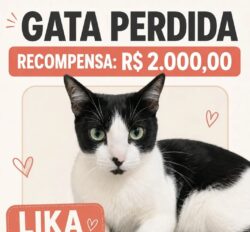 Lika