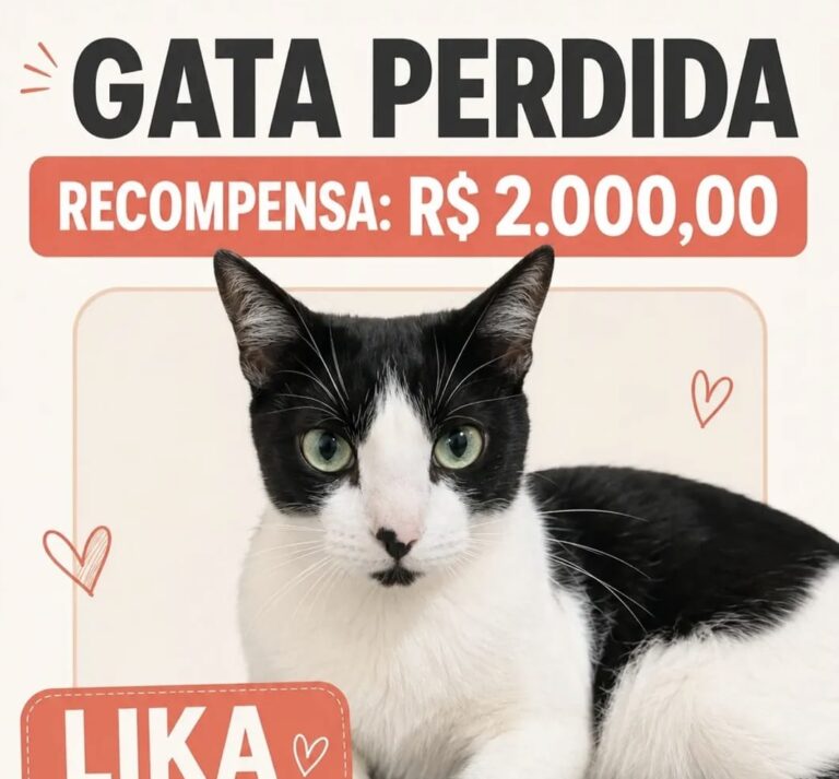 Lika