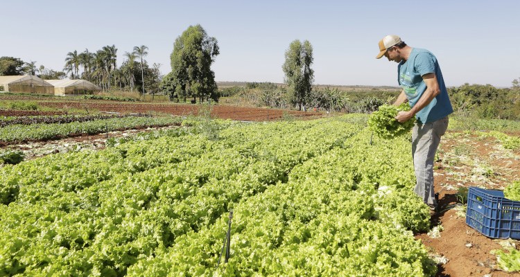 Acre amplia isenção de ICMS para agricultura familiar e merenda escolar