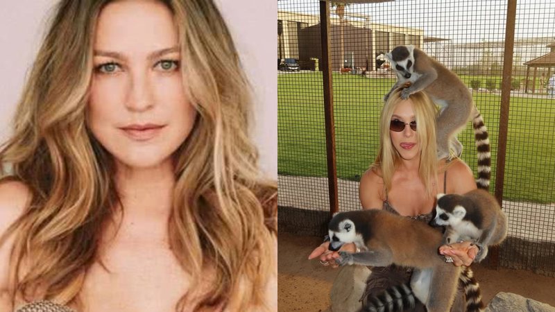 “Desgraça em forma de bunda”: Piovani volta a detonar Virginia