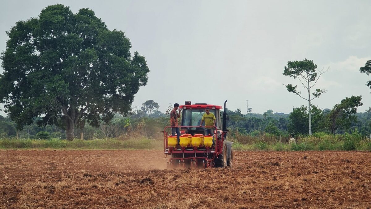 Producao-rural-e-resultados-do-Programa-de-Mecanizacao-Agricola-em-2025-9