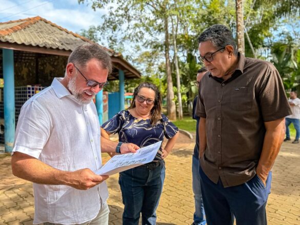 Novo mirante no Parque Chico Mendes promete vista inédita da floresta