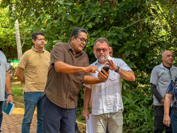 Novo mirante no Parque Chico Mendes promete vista inédita da floresta