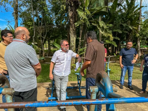 Novo mirante no Parque Chico Mendes promete vista inédita da floresta