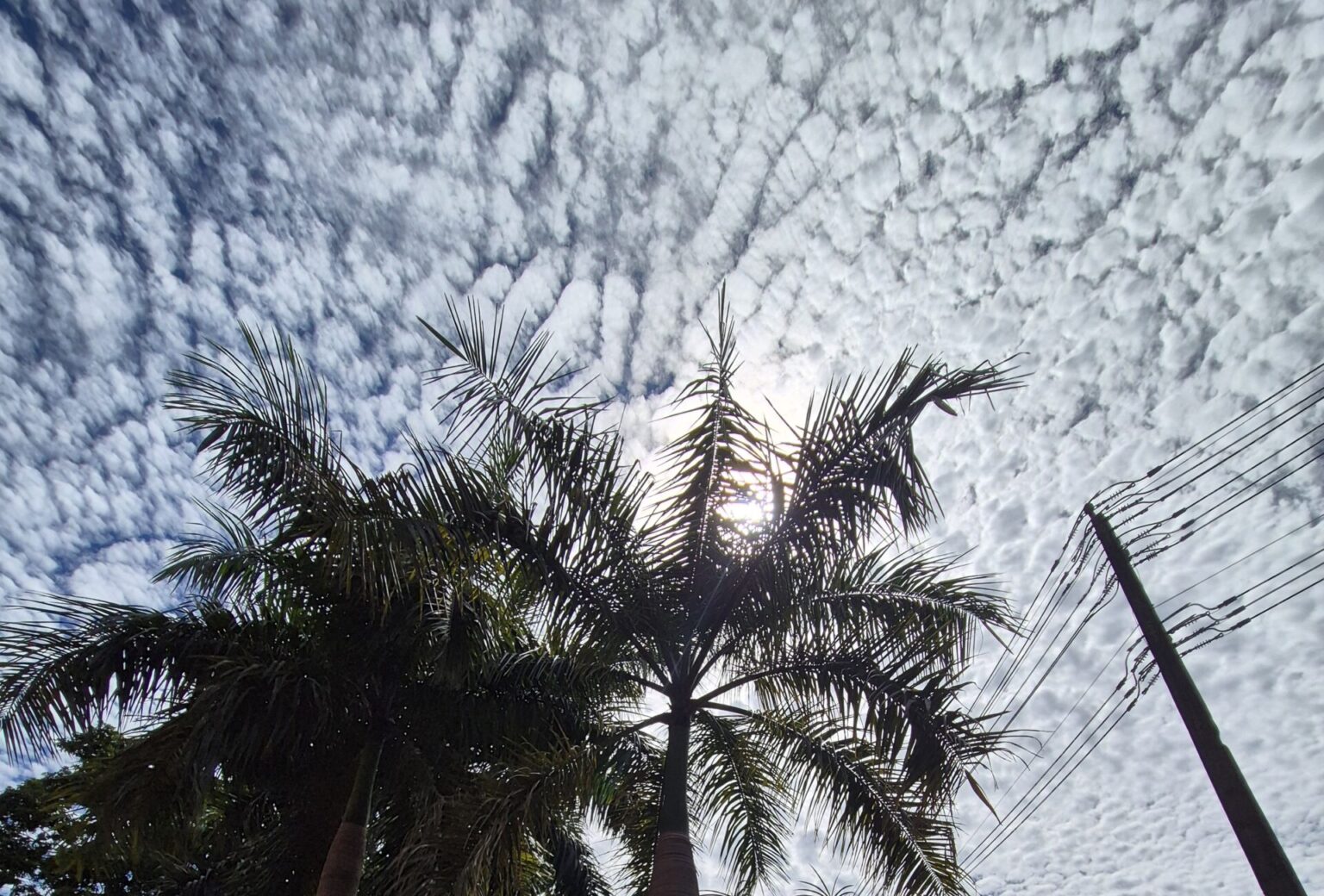 Domingo será ensolarado e com temperaturas amenas, prevê Friale