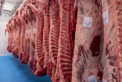 Decisão da União Europeia ameaça exportações da carne brasileira