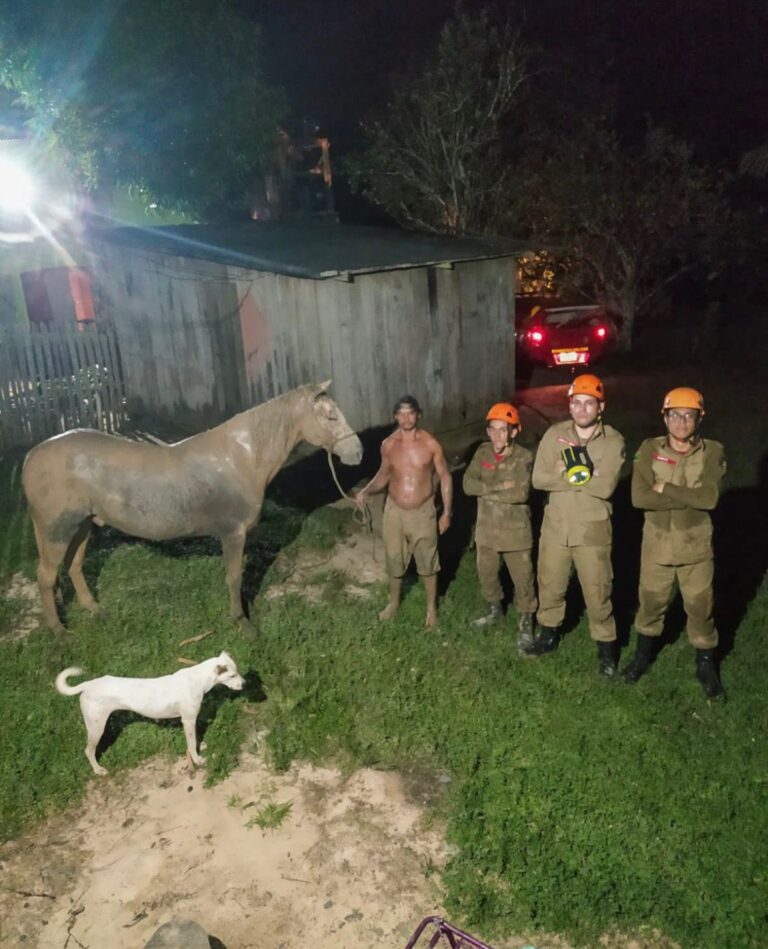 Cavalo cai em poço e é resgatado pelos bombeiros em Cruzeiro do Sul