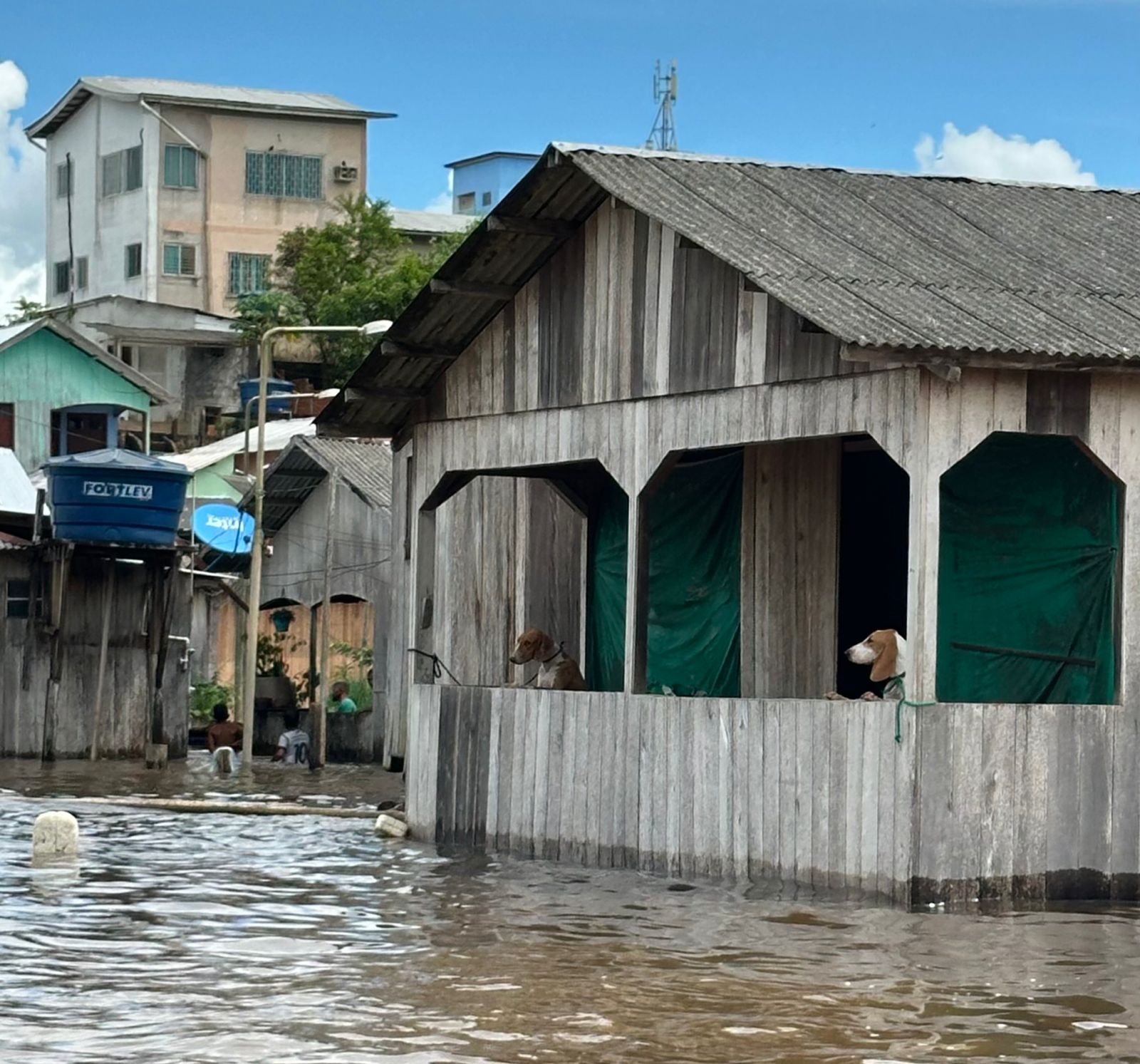 Rio Juruá registra vazante e marca 14,14 m em Cruzeiro do Sul Rio Juruá registra vazante e marca 14,14 m em Cruzeiro do Sul