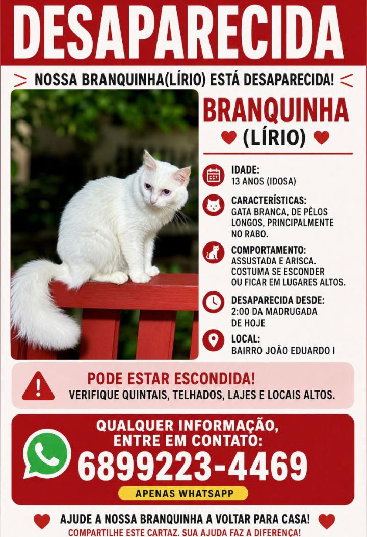 Desaparecida 
