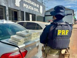 ContilNet Notícias - O seu portal de notícias do Acre PRF apreende mais de 15 quilos de skunk escondidos em caixa de som