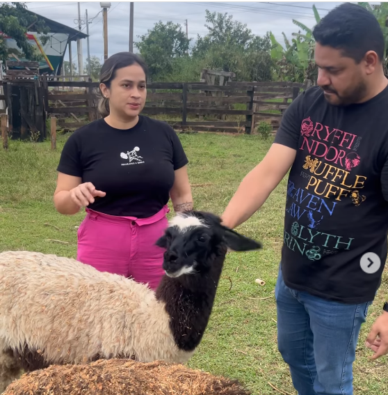 A atualização foi divulgada pela protetora Vanessa Facundes, presidente da ONG.