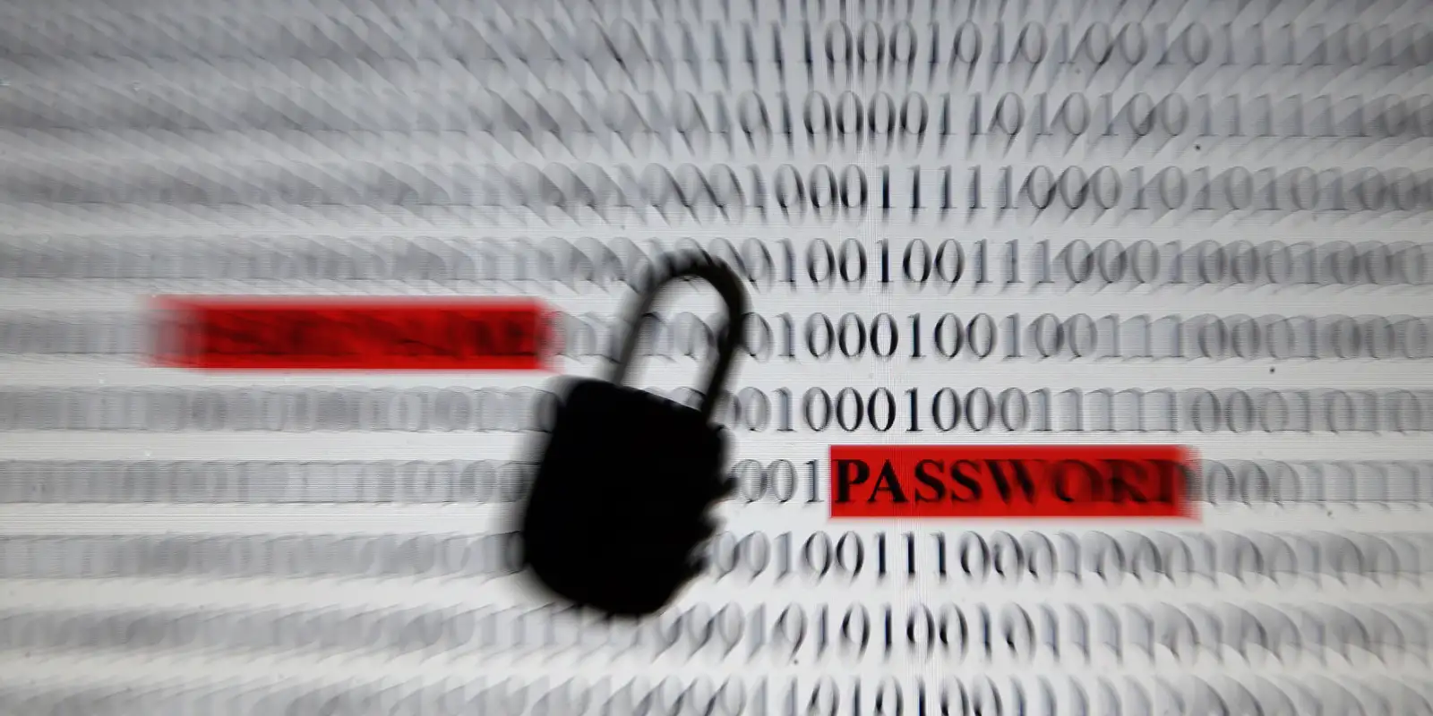 Governo divulga dicas para evitar golpes digitais e fraudes online